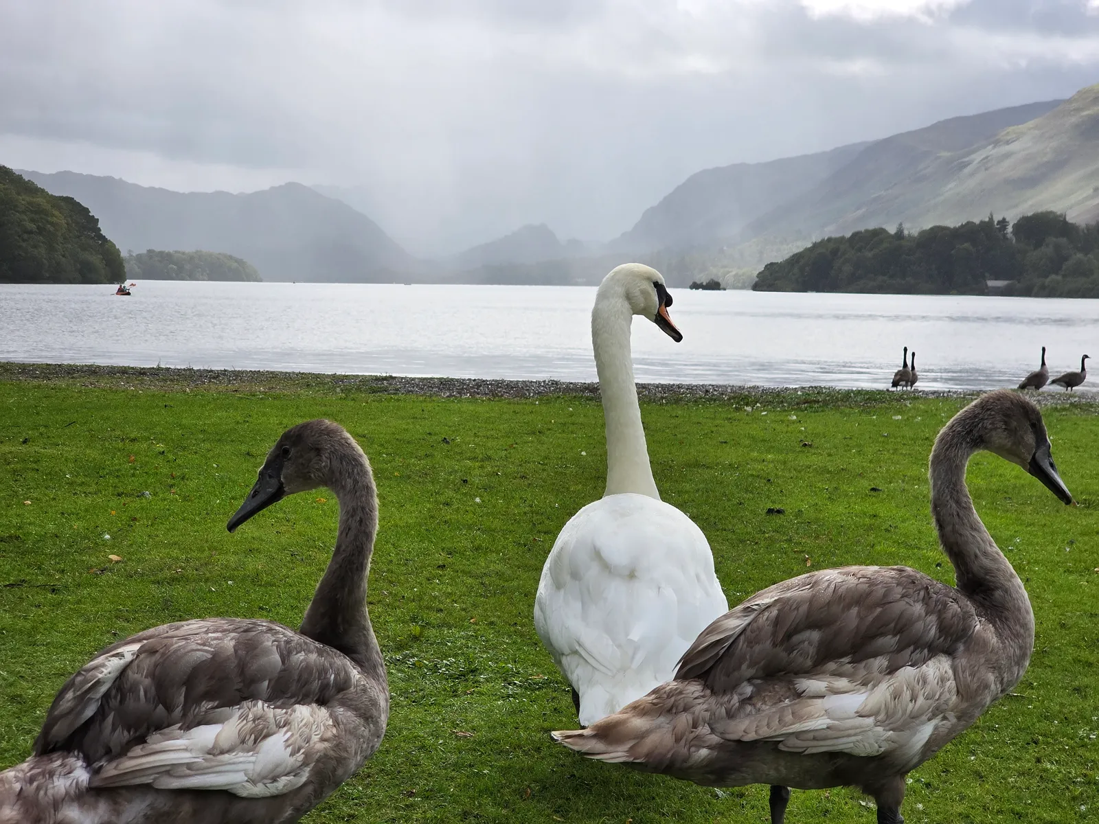 The local elite roll out the green carpet for me in Keswick