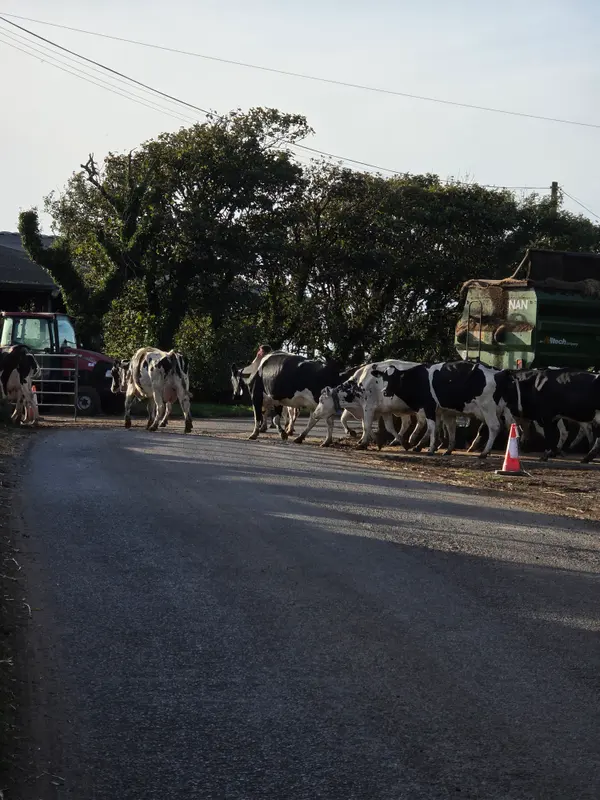 Photo 1 of 5, taken at 18:14 near Croes-goch