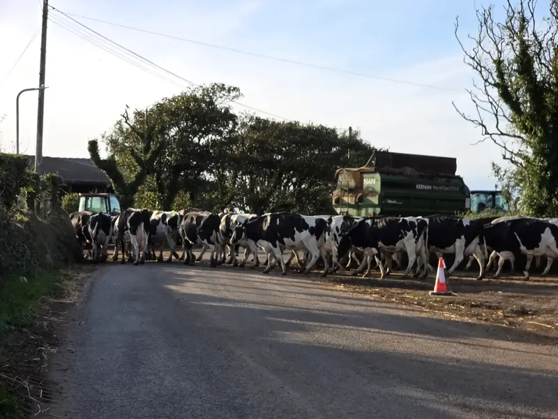 Photo 2 of 5, taken at 18:14 near Croes-goch