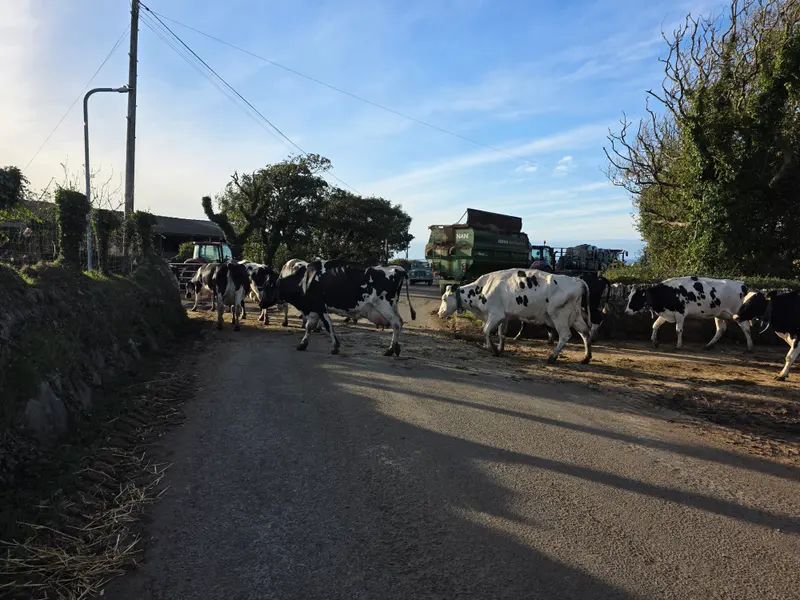 Photo 3 of 5, taken at 18:14 near Croes-goch