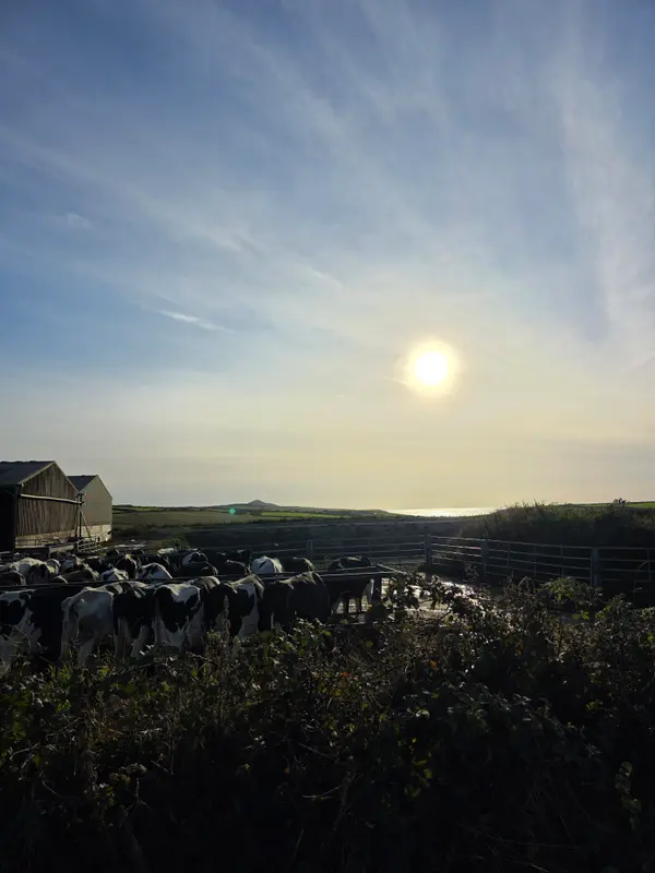 Photo 4 of 5, taken at 18:14 near Croes-goch