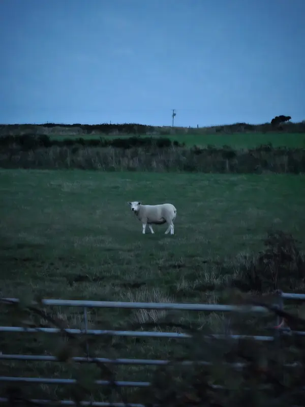 Photo 1 of 1, taken at 20:26 near Croes-goch