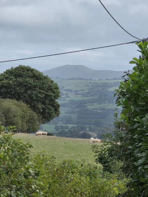 Photo 1 of 1, taken at 14:08 near Clawddnewydd
