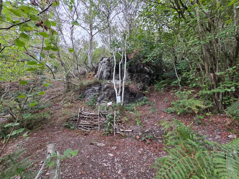 Photo 1 of 1, taken at 16:00 near Llanfihangel Glyn Myfyr