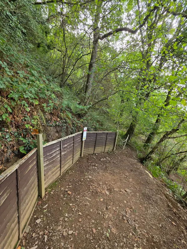 Photo 1 of 1, taken at 11:19 near Llanfihangel Glyn Myfyr