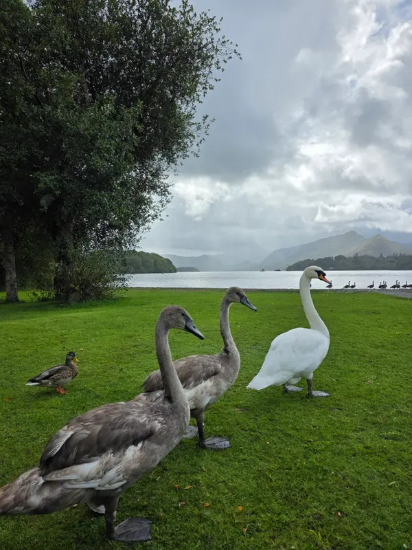 Photo 1 of 6, taken at 13:21 near Keswick