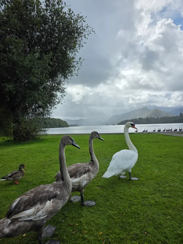Photo 2 of 6, taken at 13:21 near Keswick