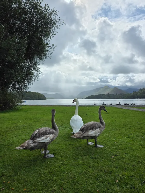 Photo 3 of 6, taken at 13:21 near Keswick