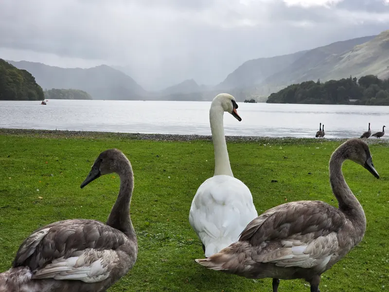 Photo 4 of 6, taken at 13:21 near Keswick