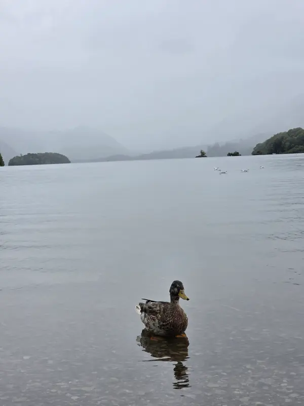 Photo 1 of 1, taken at 14:14 near Keswick