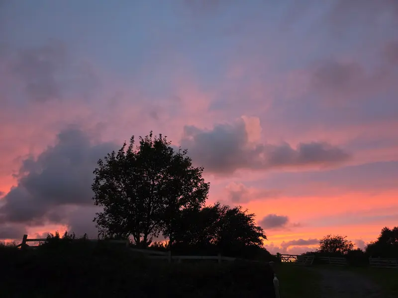 Photo 1 of 11, taken at 19:14 near Barbrook