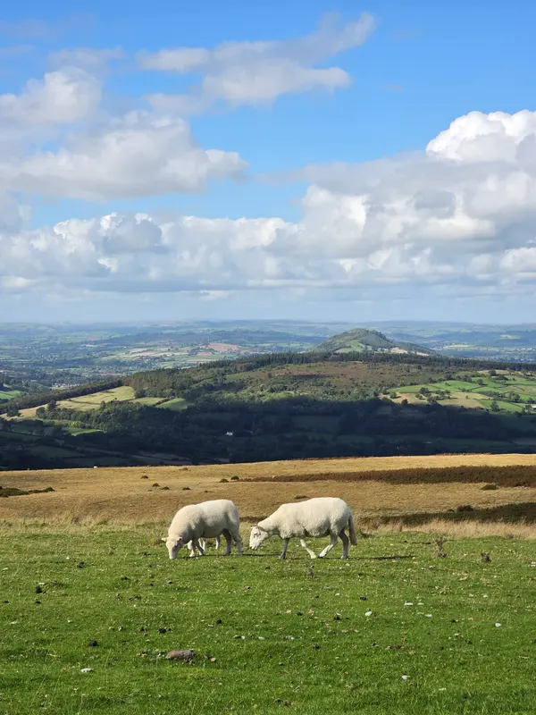 Photo 1 of 1, taken at 14:43 near Llangynidr